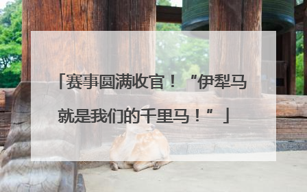 赛事圆满收官！“伊犁马就是我们的千里马！”