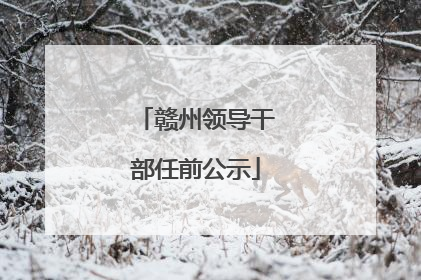 赣州领导干部任前公示