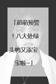 超萌预警！八大处绿头鸭又添宝宝啦~