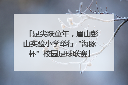 足尖跃童年，眉山彭山实验小学举行“海豚杯”校园足球联赛