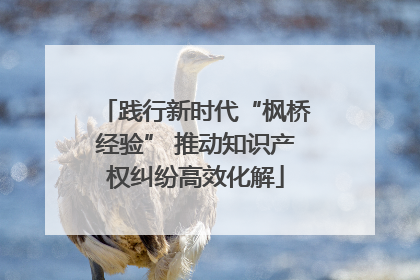 践行新时代“枫桥经验” 推动知识产权纠纷高效化解