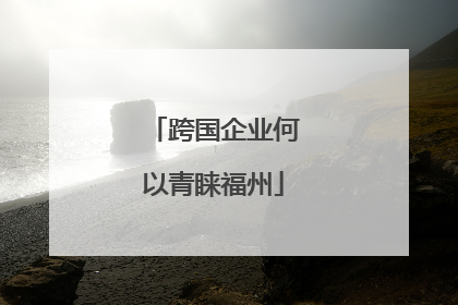 跨国企业何以青睐福州