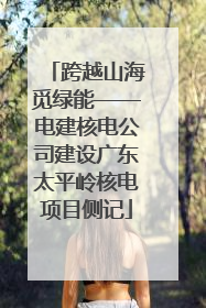 跨越山海觅绿能——电建核电公司建设广东太平岭核电项目侧记