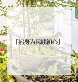 躬身为民践初心