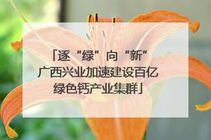 逐“绿”向“新” 广西兴业加速建设百亿绿色钙产业集群