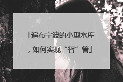 遍布宁波的小型水库，如何实现“智”管