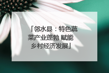 邻水县：特色蔬菜产业蓬勃 赋能乡村经济发展