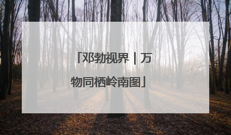 邓勃视界｜万物同栖岭南图
