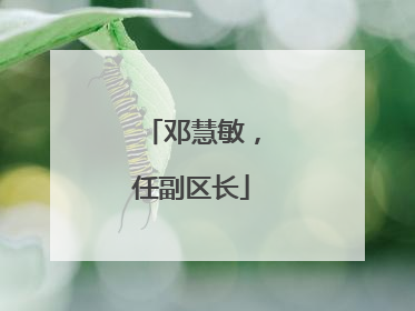 邓慧敏，任副区长