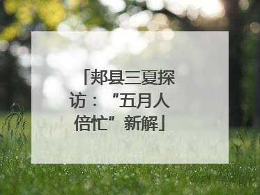 郏县三夏探访：“五月人倍忙”新解