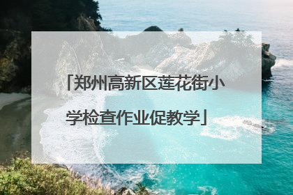 郑州高新区莲花街小学检查作业促教学