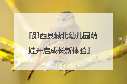 郧西县城北幼儿园萌娃开启成长新体验