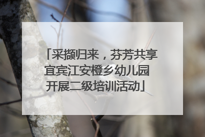 采撷归来，芬芳共享 宜宾江安橙乡幼儿园开展二级培训活动