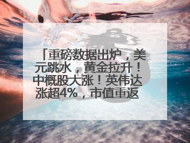 重磅数据出炉，美元跳水，黄金拉升！中概股大涨！英伟达涨超4%，市值重返全球第一！黄仁勋计划出售至多600万股股票