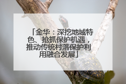金华：深挖地域特色、抢抓保护机遇，推动传统村落保护利用融合发展