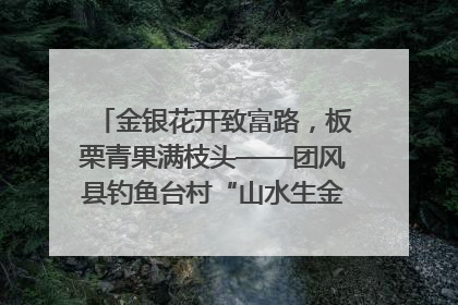 金银花开致富路，板栗青果满枝头——团风县钓鱼台村“山水生金”谱写共富新篇章