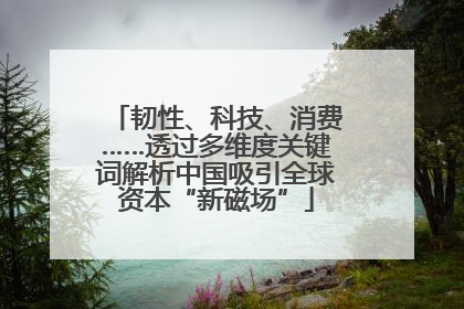 韧性、科技、消费……透过多维度关键词解析中国吸引全球资本“新磁场”