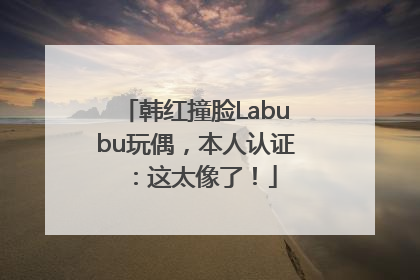 韩红撞脸Labubu玩偶，本人认证：这太像了！