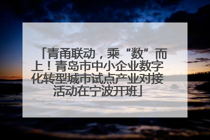 青甬联动，乘“数”而上！青岛市中小企业数字化转型城市试点产业对接活动在宁波开班