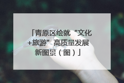 青原区绘就“文化+旅游”高质量发展新图景（图）