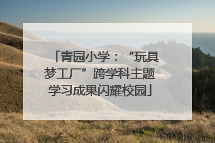 青园小学：“玩具梦工厂”跨学科主题学习成果闪耀校园