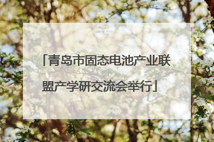 青岛市固态电池产业联盟产学研交流会举行