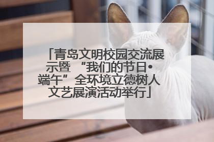 青岛文明校园交流展示暨 “我们的节日•端午”全环境立德树人文艺展演活动举行