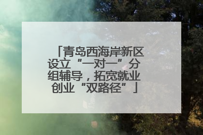 青岛西海岸新区设立“一对一”分组辅导，拓宽就业创业“双路径”