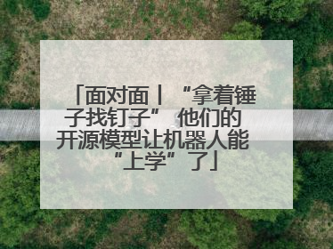 面对面丨“拿着锤子找钉子” 他们的开源模型让机器人能“上学”了