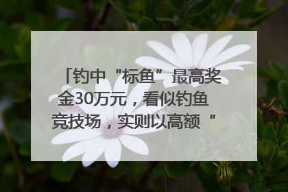 钓中“标鱼”最高奖金30万元，看似钓鱼竞技场，实则以高额“回报”作“饵”……｜今晚九点半