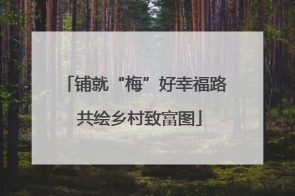 铺就“梅”好幸福路 共绘乡村致富图