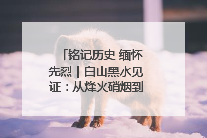 铭记历史 缅怀先烈｜白山黑水见证：从烽火硝烟到振兴热土的巨变