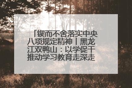 锲而不舍落实中央八项规定精神丨黑龙江双鸭山：以学促干推动学习教育走深走实 从小事入手写好“民生答卷”