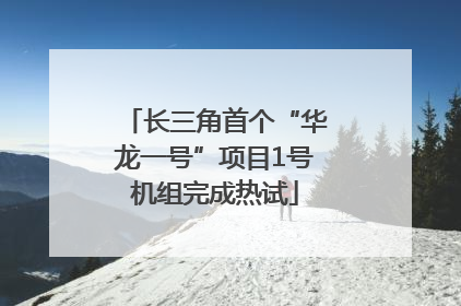 长三角首个“华龙一号”项目1号机组完成热试
