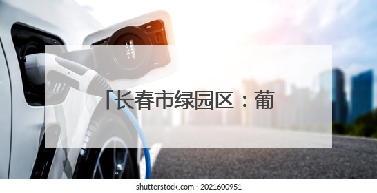长春市绿园区：葡萄园里绿意浓 “紫色经济”焕新枝
