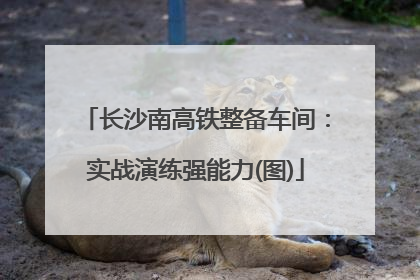 长沙南高铁整备车间：实战演练强能力(图)