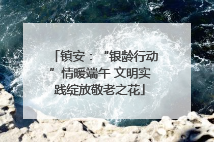 镇安：“银龄行动”情暖端午 文明实践绽放敬老之花