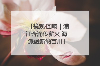 镜观·回响｜浦江奔涌传薪火 海派融新纳百川