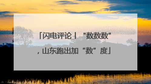 闪电评论丨“数数数”，山东跑出加“数”度