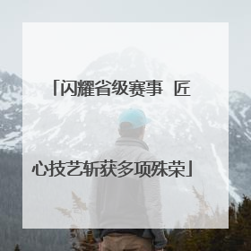 闪耀省级赛事  匠心技艺斩获多项殊荣