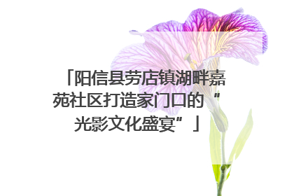 阳信县劳店镇湖畔嘉苑社区打造家门口的“光影文化盛宴”