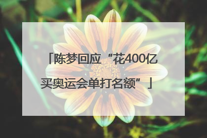 陈梦回应“花400亿买奥运会单打名额”