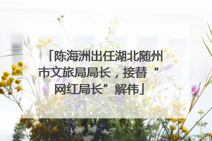 陈海洲出任湖北随州市文旅局局长，接替“网红局长”解伟