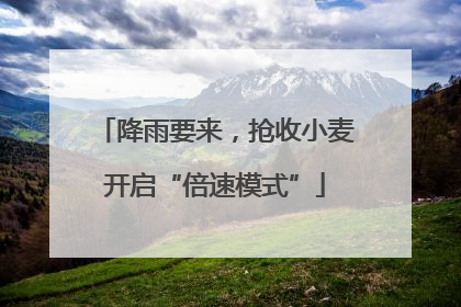 降雨要来，抢收小麦开启“倍速模式”