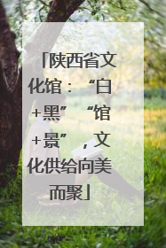 陕西省文化馆：“白+黑”“馆+景”，文化供给向美而聚