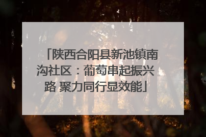 陕西合阳县新池镇南沟社区：葡萄串起振兴路 聚力同行显效能