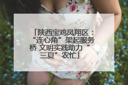 陕西宝鸡凤翔区：“连心角”架起服务桥 文明实践助力“三夏”农忙