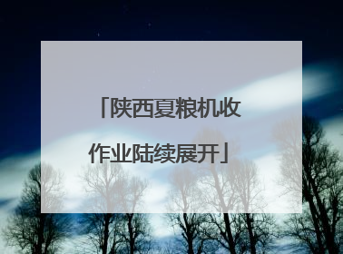 陕西夏粮机收作业陆续展开