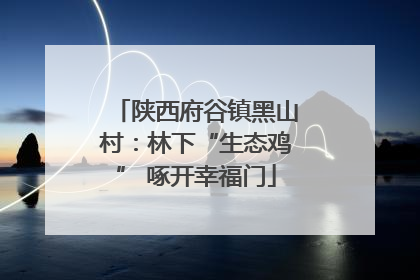 陕西府谷镇黑山村：林下“生态鸡” 啄开幸福门