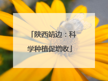陕西靖边：科学种植促增收